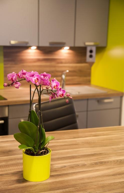 Appartements Le Hupsa Pfannala 상띠뽈리뜨 객실 사진